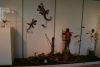 Salamander und Gecko an der Wand, Von Hinten und  Schmetterlinge