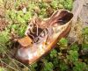 altes Sprichwort: in jeden Garten gehört ein Schuh