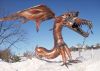 Kupferdrache schnappt unsere Windfahne