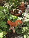 Eichhörnchen auf Schwemmholz mit Erdspieß