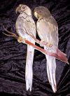 Wandfigur aus Edelstahl und Messing mit Ast aus Kupfer
