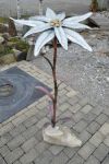 Das Edelweiß ist 90 cm hoch und die Blüte hat einen Durchmesser von 50 cm. Der Stiel ist aus Kupfer, das Material der Blüte ist Titanzink mit Messingblütenkelche