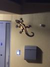 so einen Gecko will ich auch haben, mit meinem Namen...