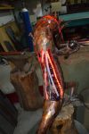 die Schuppen haben eine Klappe, sodaß der Kunde die LED austauschen kann