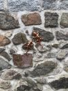wie in der Natur klettern diese 2 Geckos aus Kupfer die Steinmauer hoch.