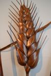 Die einzelnen Ähren waren 45cm, 50cm und 60 cm groß plus Stengel